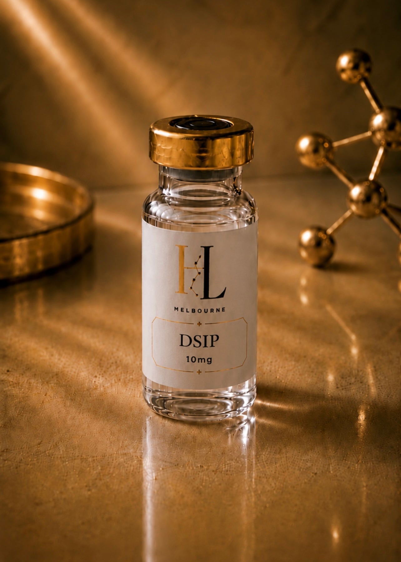 HOL-DSIP